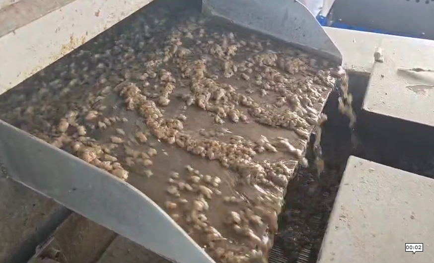 Sludge Thickeners ถังทำข้นตะกอน